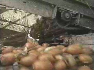foto (13)